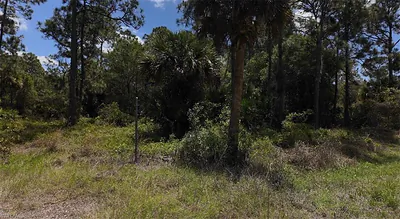 655 Olivo ST CLEWISTON FL