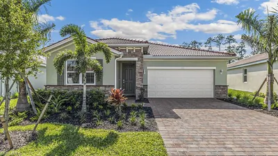 16893 Elkhorn Coral DR NORTH FORT MYERS FL