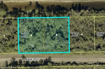 1239 Rake ST E LEHIGH ACRES FL