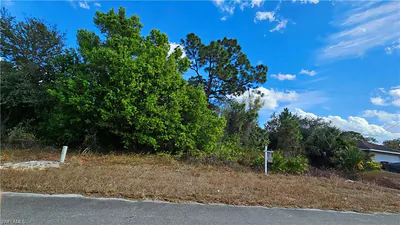 217 Narcissus AVE S LEHIGH ACRES FL