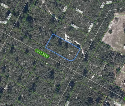 1424 Doolittle ST LAKE PLACID FL