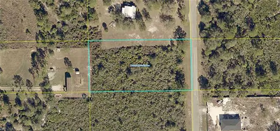 540 S Cabbage Palm ST CLEWISTON FL