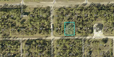 1225 Racoon ST E LEHIGH ACRES FL