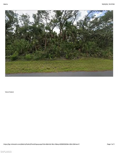 1607 Louis AVE LEHIGH ACRES FL