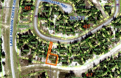 1352 HOMOSASSA DRIVE Poinciana FL