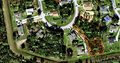 1421 SWAN COURT Poinciana FL