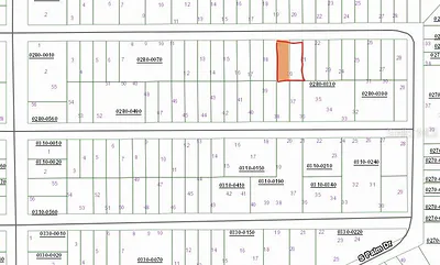 00 CHERRY Interlachen FL