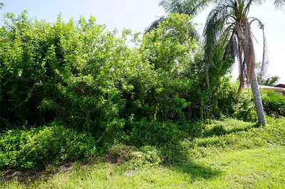 507 MERIDAN AVENUE NW Port Charlotte FL