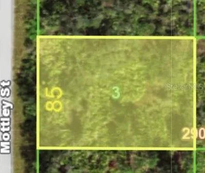 1468 MOTTLEY STREET Port Charlotte FL
