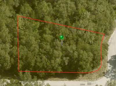 10098 N HALSEY WAY Citrus Springs FL