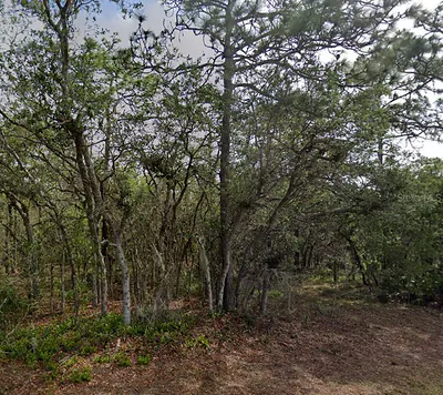 10 MILBARK DRIVE Homosassa FL
