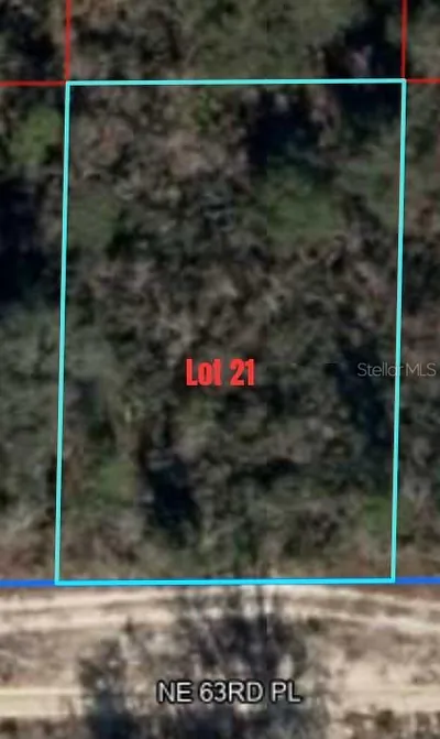 NE 63RD PLACE Williston FL