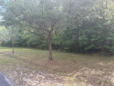 6038 NW 90TH STREET Gainesville FL