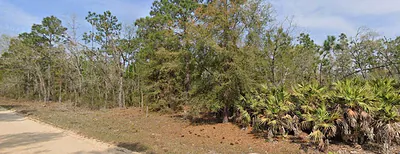 UNION AVENUE Interlachen FL