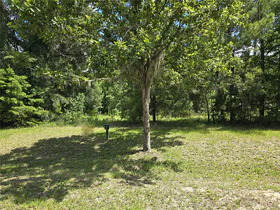 8911 NW 58TH LANE Gainesville FL
