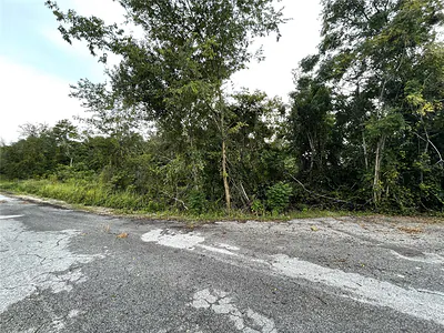 TBD HICKORY TRACK DRIVE Ocala FL