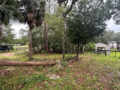 9 7TH STREET NE Steinhatchee FL