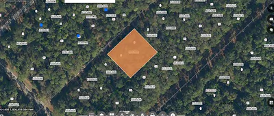 209 SE PARADISE LAKES Georgetown FL