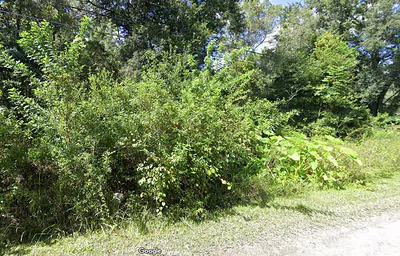00 WEBB STREET New Port Richey FL