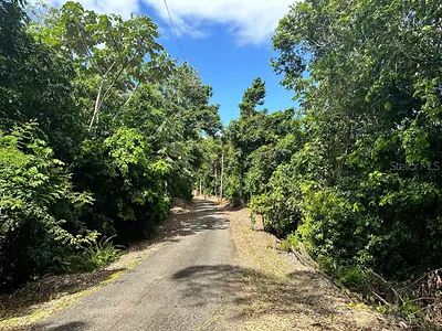 Road PR-140 km 34.2 BARRIO DON ALONSO Utuado PR