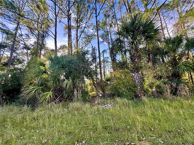 LUMMUS STREET North Port FL