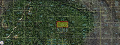 HOLOPAW GROVES ROAD St Cloud FL