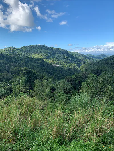 907 CARRETERA KM 2.2 #KM 2.2 Canovanas PR