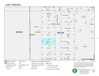 1229 PINNATA DRIVE Indian Lake Estates FL