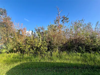 5186 VENUS TERRACE Port Charlotte FL