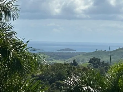 31 INT 950 KM.HM 9.7 BO RIO BLANCO Naguabo PR