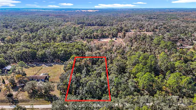 7241 SONIA AVENUE Webster FL