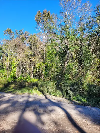 MORENA STREET 5 #5 New Port Richey FL