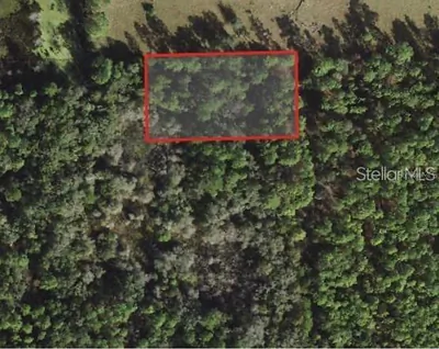 5230 N WHETSTONE POINT Crystal River FL