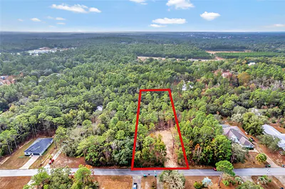 1716 E BISMARK STREET Hernando FL
