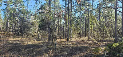 Lot 13 NW WATER OAK AVENUE Dunnellon FL