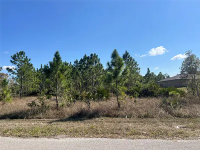 1247 BRUNELL AVENUE Fort Myers FL