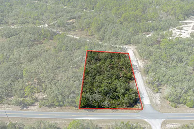 00 SHORTSTONE DRIVE Webster FL