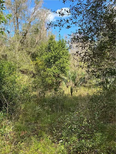 W BERESFORD ROAD Deland FL
