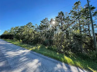 16 MAYTEN COURT N Homosassa FL