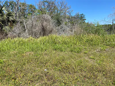 PARCEL 27 15 30 00 00 0160 De Leon Springs FL