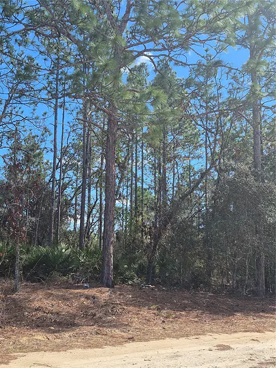 SW 56TH LANE Ocala FL