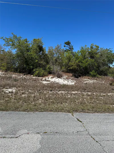 1386 HOMOSASSA DRIVE Kissimmee FL