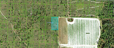 GRAPE HAMMOCK RD Lake Wales FL