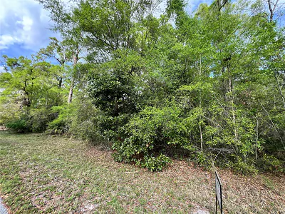 NW 74TH COURT 111 #111 Chiefland FL