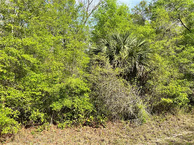 NW 74TH COURT 112 #112 Chiefland FL