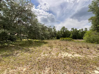 34331 RIM ROCK STREET Webster FL
