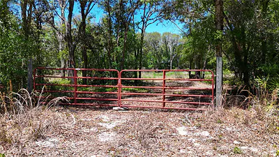 34281 UMBRELLA ROCK DRIVE Webster FL