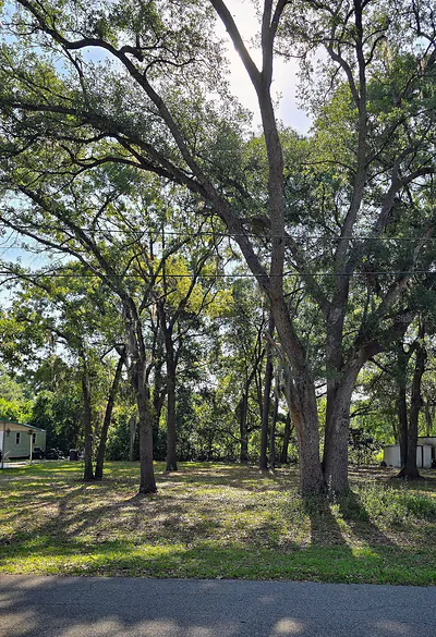 16055 SE 99TH TERRACE Summerfield FL