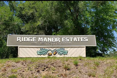 HARDSTONE DRIVE Webster FL