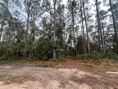 SUSAN STREET Interlachen FL